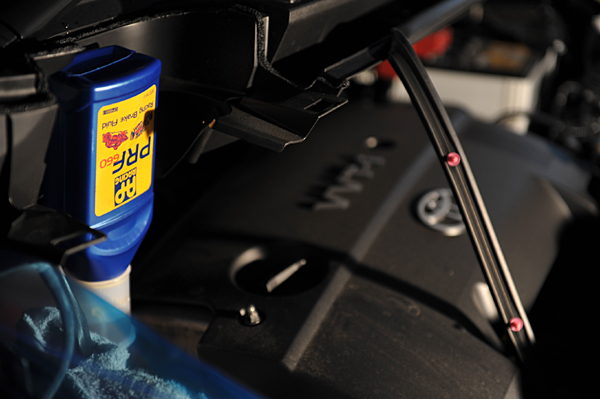 101019 r1 DSC_2247.jpg